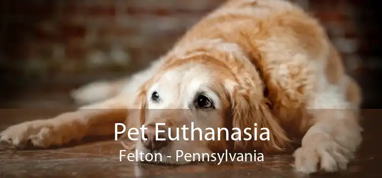 Pet Euthanasia Felton - Pennsylvania