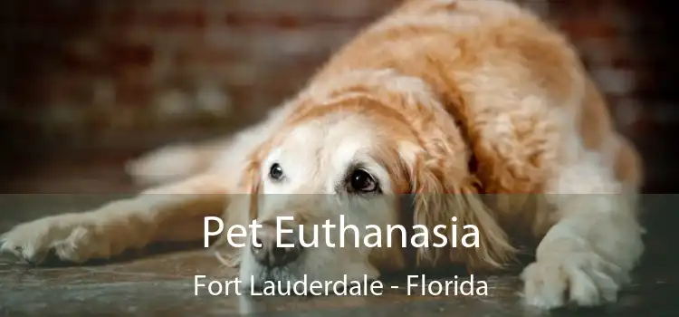 Pet Euthanasia Fort Lauderdale - Florida