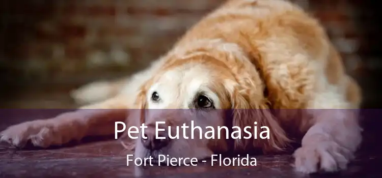 Pet Euthanasia Fort Pierce - Florida