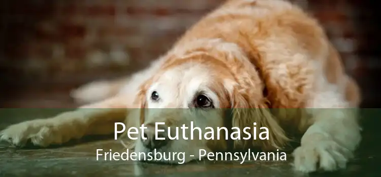Pet Euthanasia Friedensburg - Pennsylvania