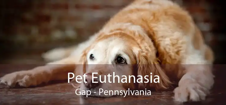 Pet Euthanasia Gap - Pennsylvania