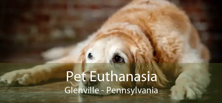 Pet Euthanasia Glenville - Pennsylvania