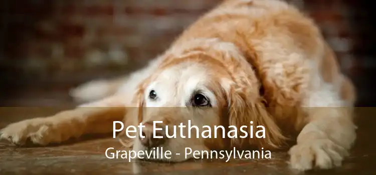 Pet Euthanasia Grapeville - Pennsylvania