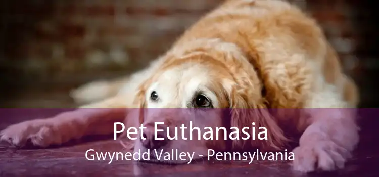 Pet Euthanasia Gwynedd Valley - Pennsylvania