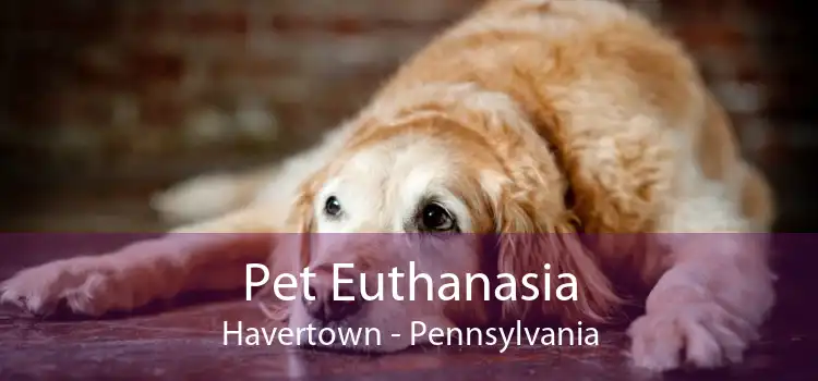Pet Euthanasia Havertown - Pennsylvania