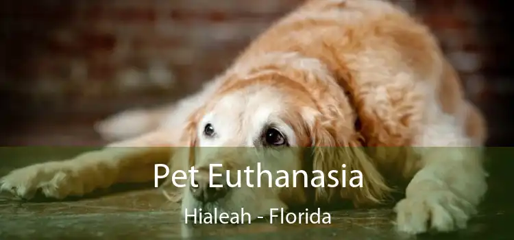 Pet Euthanasia Hialeah - Florida