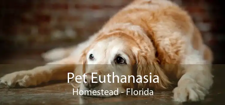 Pet Euthanasia Homestead - Florida