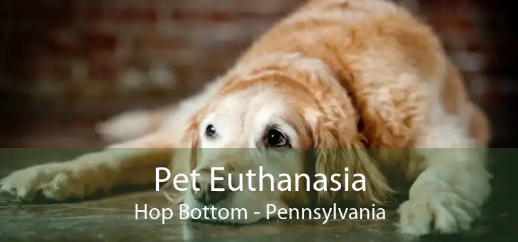 Pet Euthanasia Hop Bottom - Pennsylvania