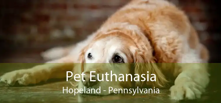 Pet Euthanasia Hopeland - Pennsylvania
