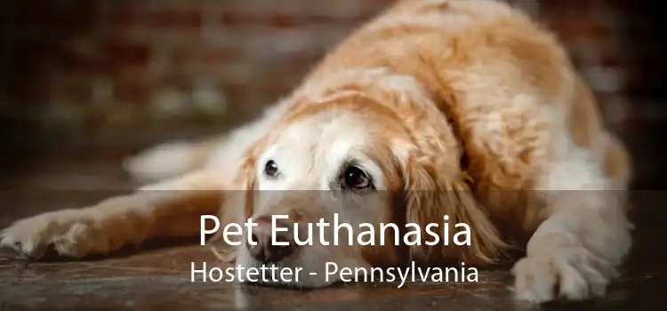 Pet Euthanasia Hostetter - Pennsylvania
