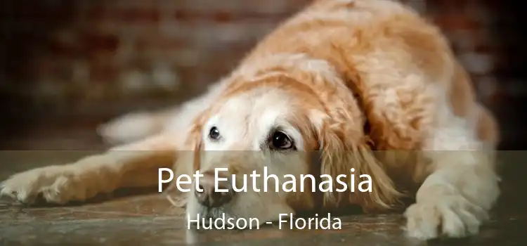 Pet Euthanasia Hudson - Florida