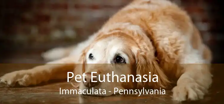 Pet Euthanasia Immaculata - Pennsylvania