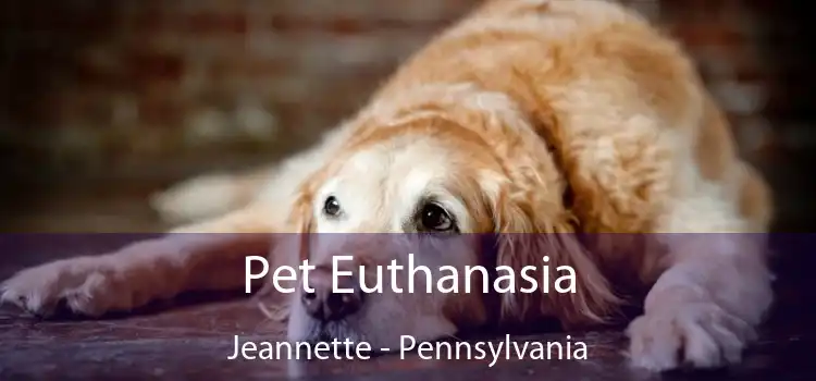 Pet Euthanasia Jeannette - Pennsylvania