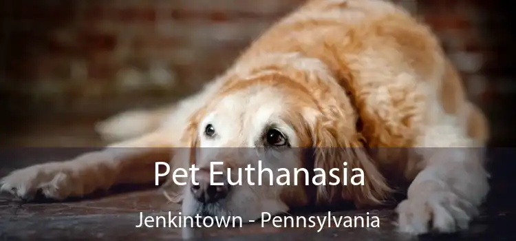 Pet Euthanasia Jenkintown - Pennsylvania