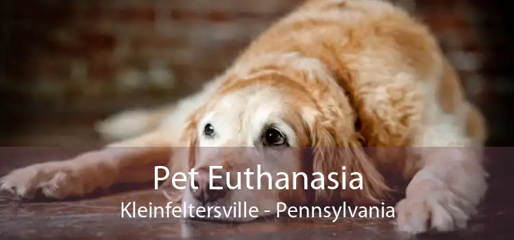 Pet Euthanasia Kleinfeltersville - Pennsylvania