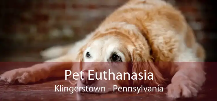 Pet Euthanasia Klingerstown - Pennsylvania