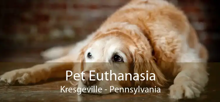 Pet Euthanasia Kresgeville - Pennsylvania