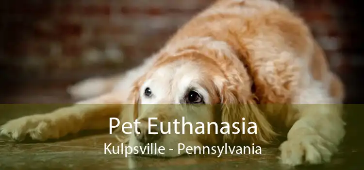 Pet Euthanasia Kulpsville - Pennsylvania