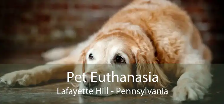 Pet Euthanasia Lafayette Hill - Pennsylvania