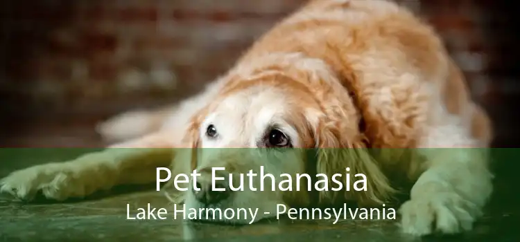 Pet Euthanasia Lake Harmony - Pennsylvania