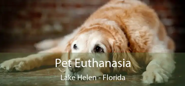 Pet Euthanasia Lake Helen - Florida