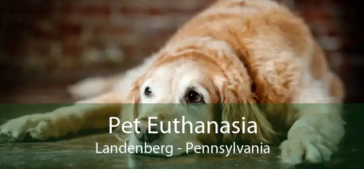 Pet Euthanasia Landenberg - Pennsylvania