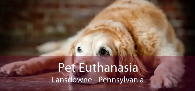 Pet Euthanasia Lansdowne - Pennsylvania