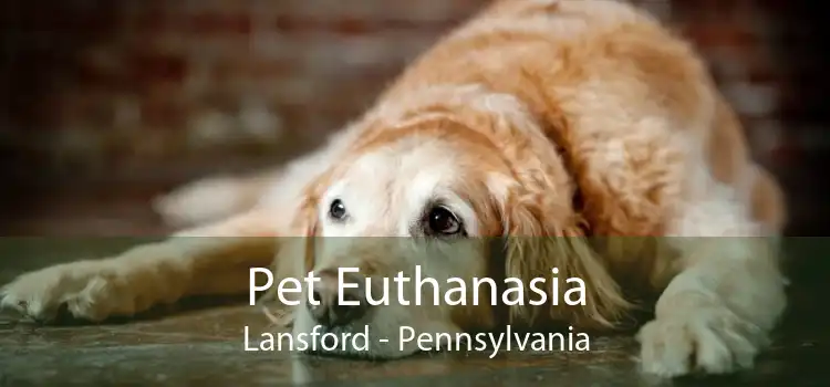 Pet Euthanasia Lansford - Pennsylvania