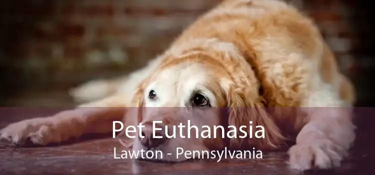 Pet Euthanasia Lawton - Pennsylvania