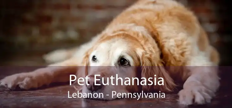 Pet Euthanasia Lebanon - Pennsylvania