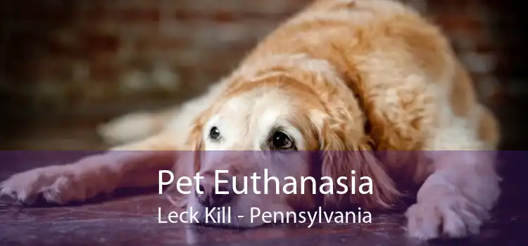 Pet Euthanasia Leck Kill - Pennsylvania