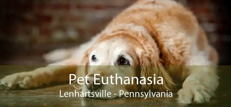 Pet Euthanasia Lenhartsville - Pennsylvania
