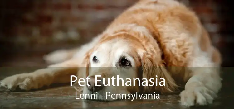 Pet Euthanasia Lenni - Pennsylvania