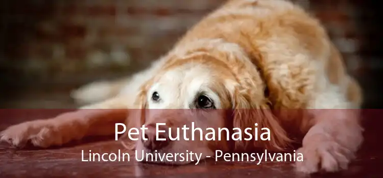 Pet Euthanasia Lincoln University - Pennsylvania