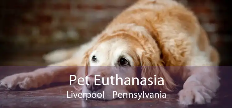 Pet Euthanasia Liverpool - Pennsylvania