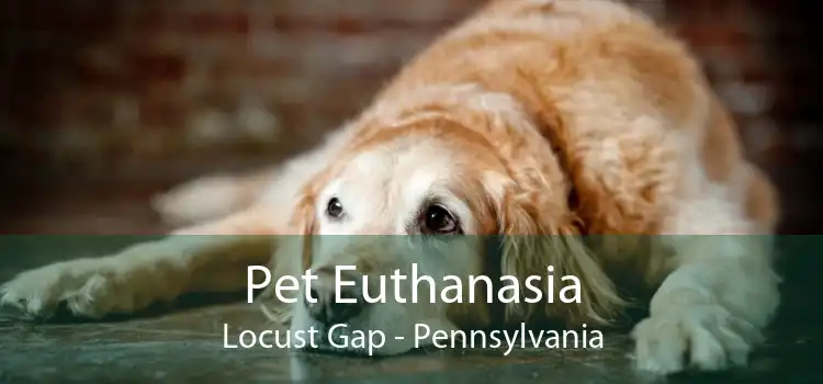 Pet Euthanasia Locust Gap - Pennsylvania