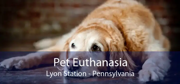 Pet Euthanasia Lyon Station - Pennsylvania