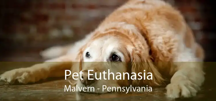 Pet Euthanasia Malvern - Pennsylvania