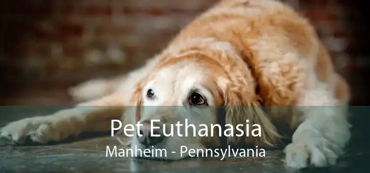 Pet Euthanasia Manheim - Pennsylvania