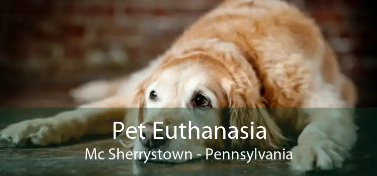Pet Euthanasia Mc Sherrystown - Pennsylvania