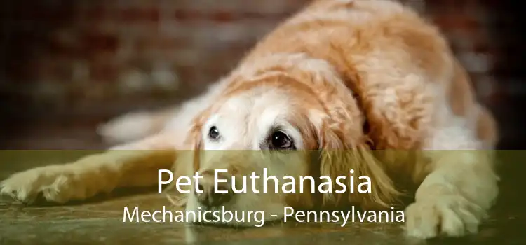 Pet Euthanasia Mechanicsburg - Pennsylvania