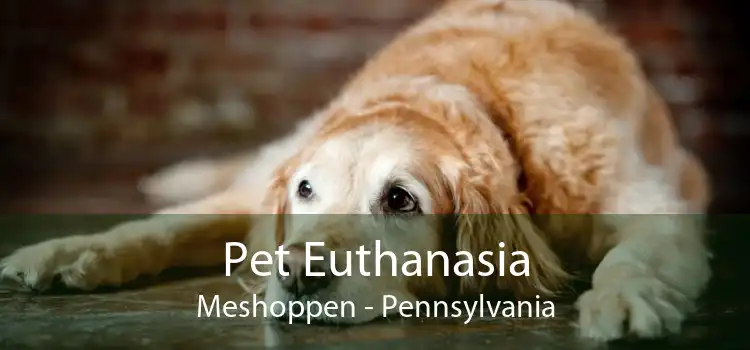 Pet Euthanasia Meshoppen - Pennsylvania