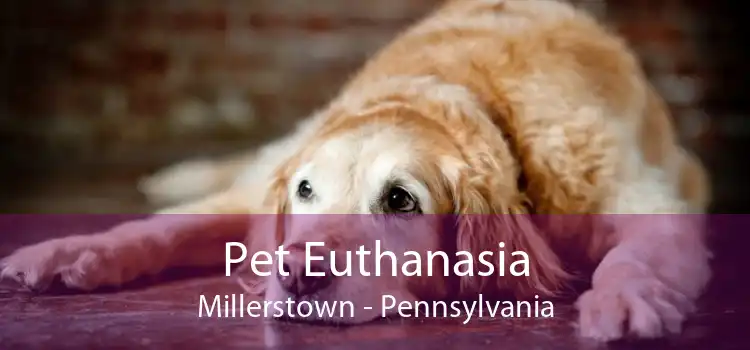 Pet Euthanasia Millerstown - Pennsylvania