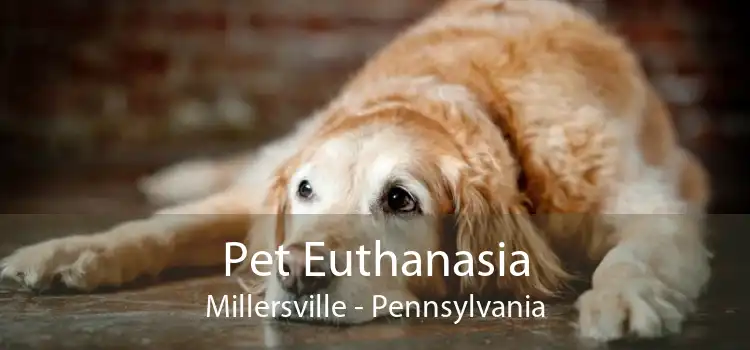 Pet Euthanasia Millersville - Pennsylvania