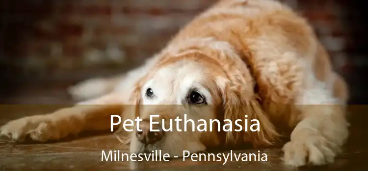 Pet Euthanasia Milnesville - Pennsylvania