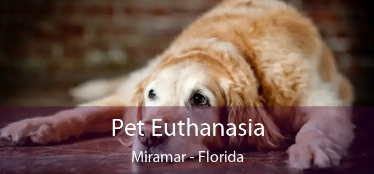 Pet Euthanasia Miramar - Florida