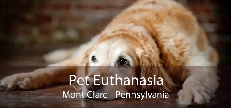 Pet Euthanasia Mont Clare - Pennsylvania