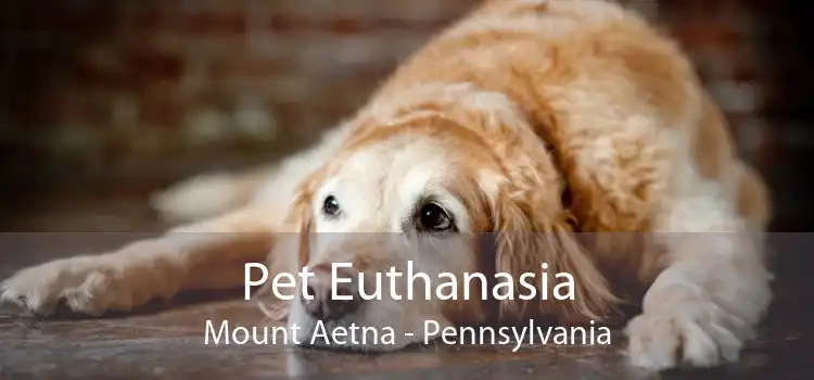 Pet Euthanasia Mount Aetna - Pennsylvania