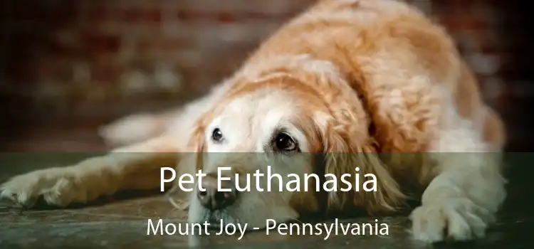 Pet Euthanasia Mount Joy - Pennsylvania