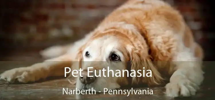 Pet Euthanasia Narberth - Pennsylvania